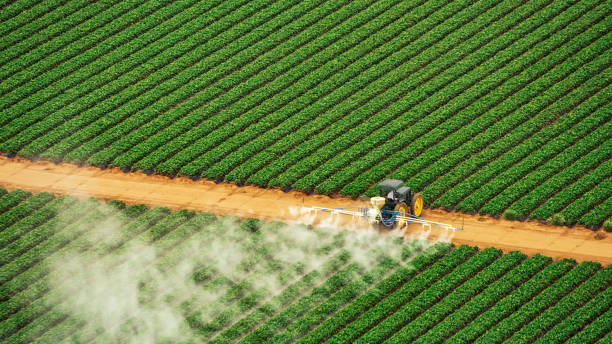 Pest Prevention Services in Prestonsburg, KY
