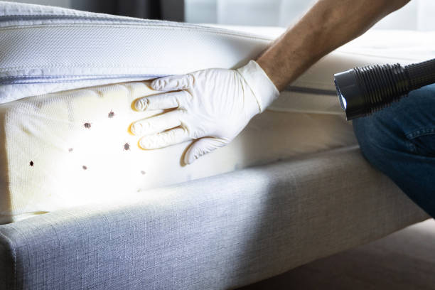 Best Emergency Pest Control  in Prestonsburg, KY